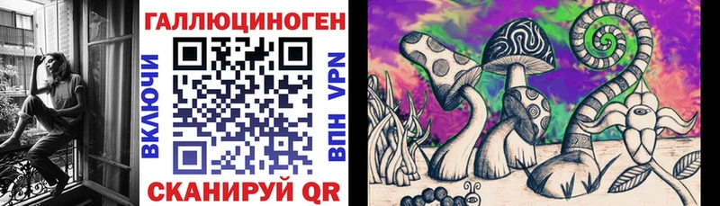Галлюциногенные грибы мицелий  blacksprut зеркало  Черногорск 